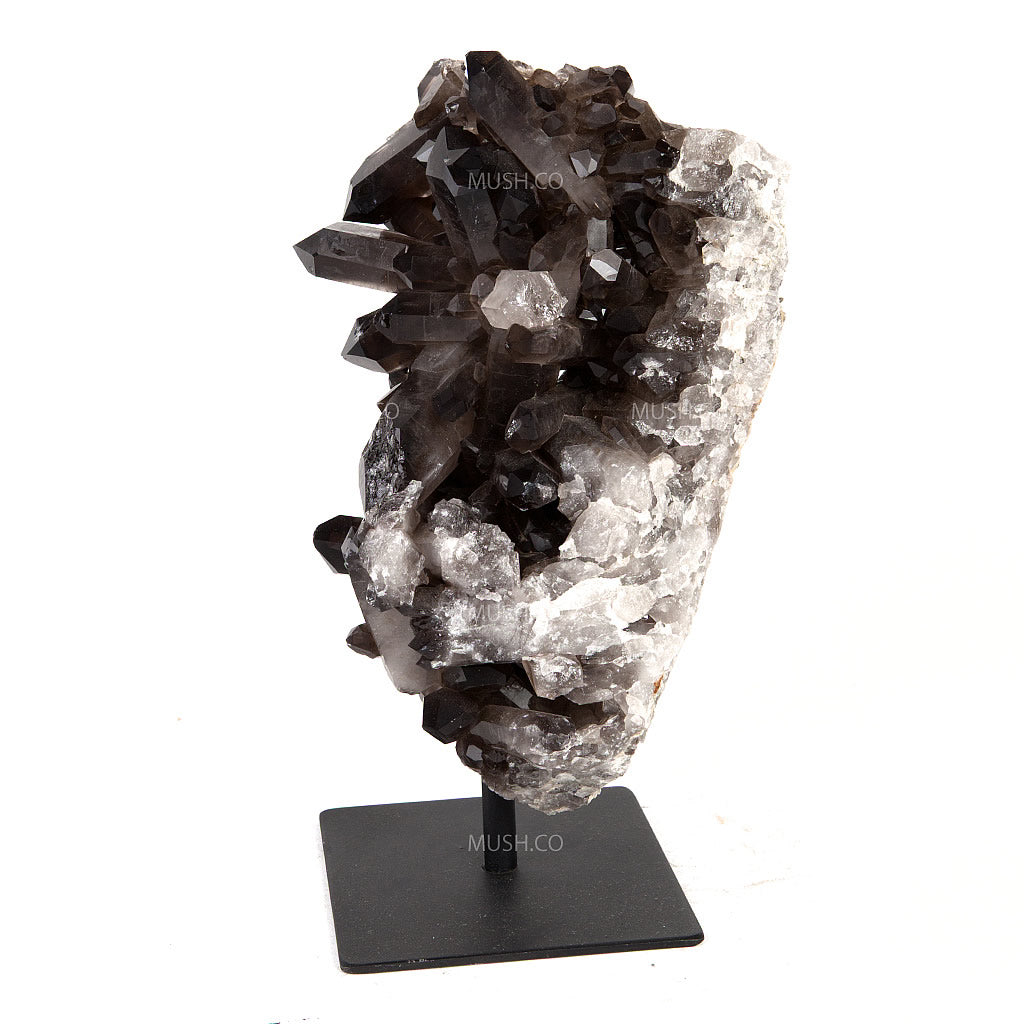 Smoky Quartz Points on Stand - v2 Hollywood