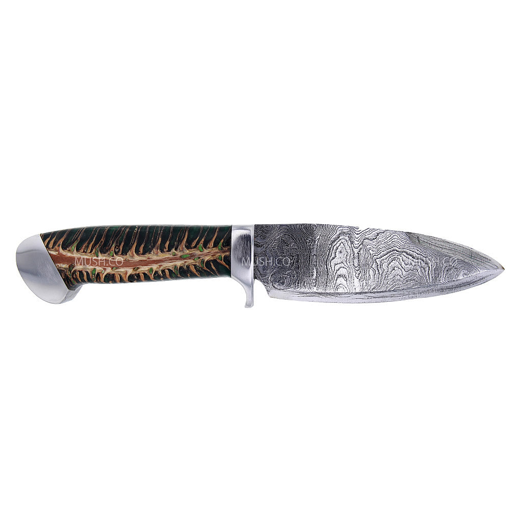 Custom Built 416 Layer Hi Carbon Damascus Blade Knife with Pine Cone Handle Hollywood