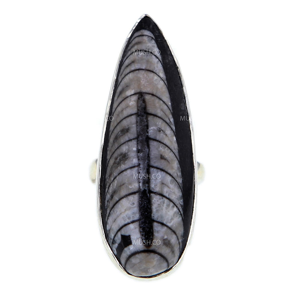 adjustable-sterling-silver-orthoceras-fossil-ring-v1