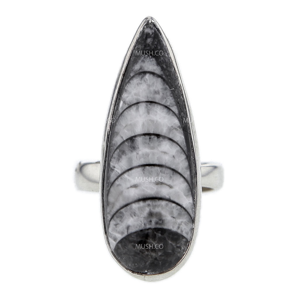 copy-of-adjustable-sterling-silver-orthoceras-fossil-ring-v4